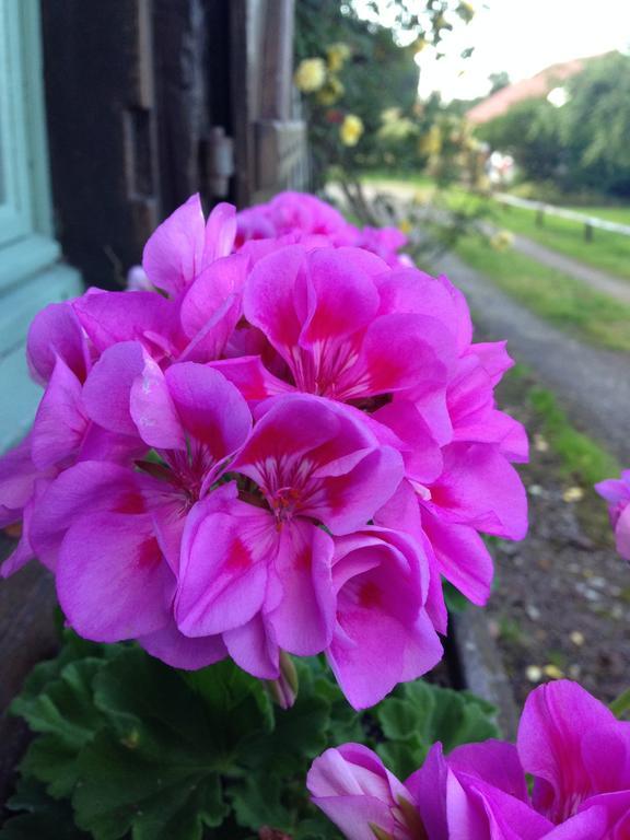 La Baronnie Bed & Breakfast Vieux-Pont Luaran gambar